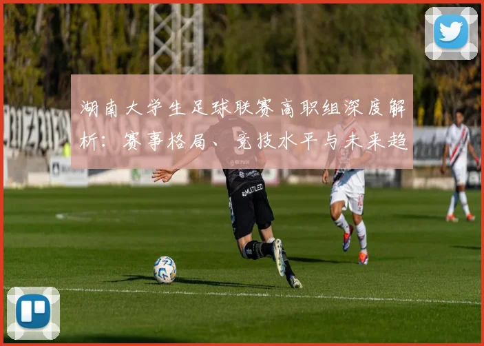 湖南大学生足球联赛高职组深度解析:赛事格局、竞技水平与未来趋势