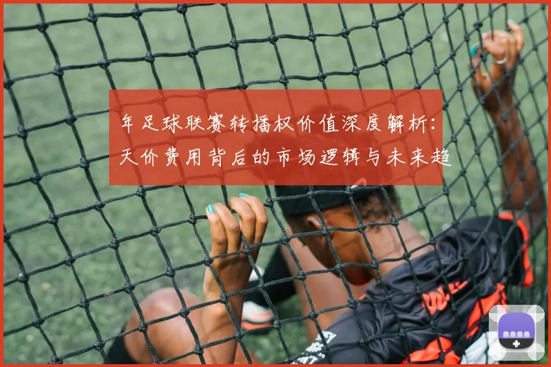 年足球联赛转播权价值深度解析:天价费用背后的市场逻辑与未来趋势